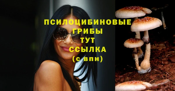 прущие грибы Волосово