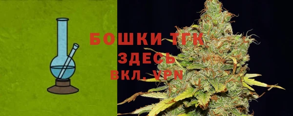 прущие грибы Волосово