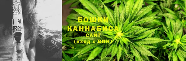 прущие грибы Волосово