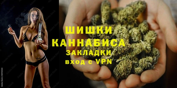 прущие грибы Волосово