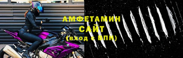 прущие грибы Волосово