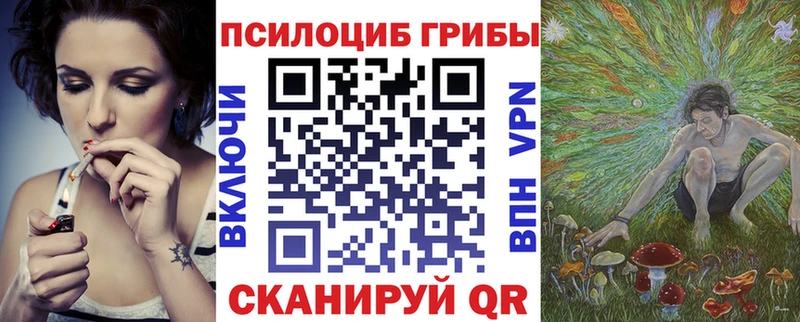 Псилоцибиновые грибы Psilocybine cubensis  Первоуральск 